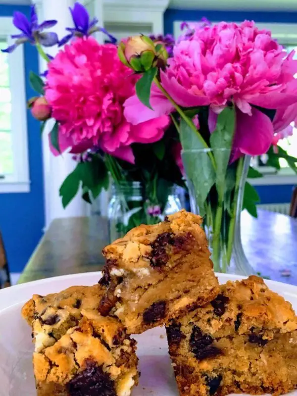 best blondies, blondie recipes, chocolate chip cookie bar recipes, best cookies, cookbooks, best cookbooks, a baker's passport, chef susie norris