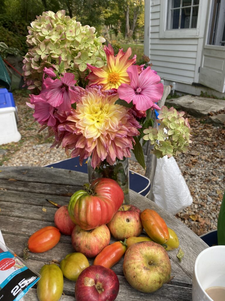 Susie Norris, apples, caramel, fall desserts, new england desserts, apple cake, apple pie, cookbooks